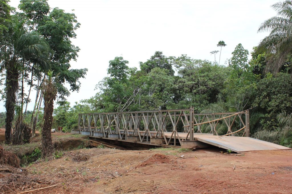 Bridge in the country