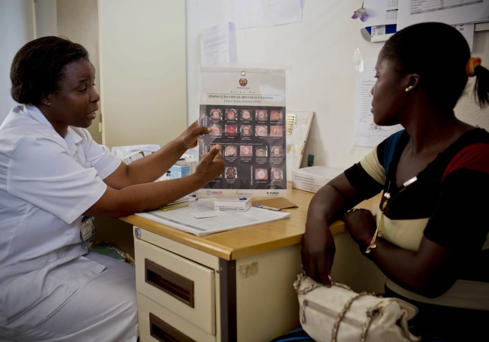 A health worker shows images on a chart to a woman.