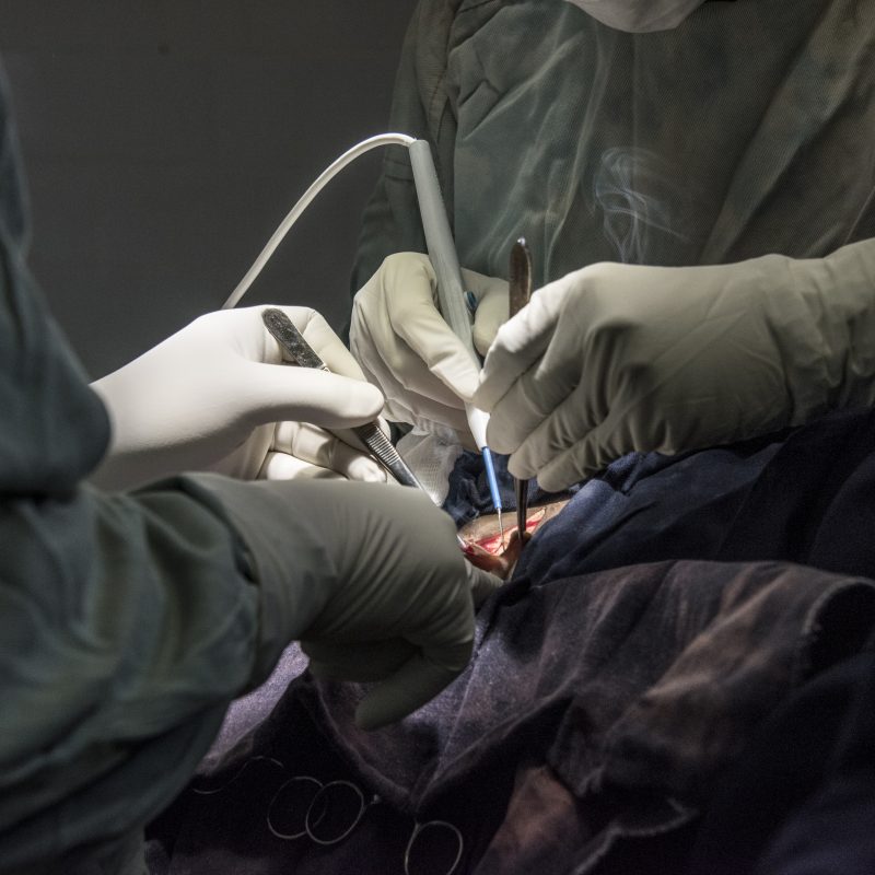 Close up of surgeons hands in gloves operating on a patient.